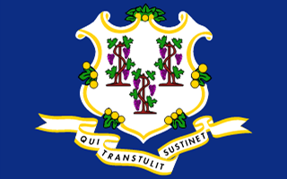 Connecticut flag