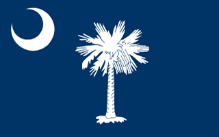 South Carolina flag