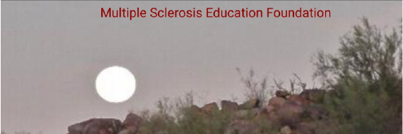 Multiple Sclerosis Education Foundation 
